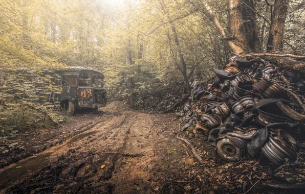 Road, dump, bus