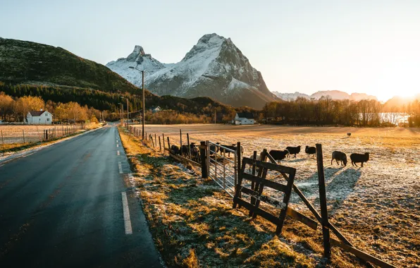 Winter, road, field, autumn, forest, light, snow, sunset