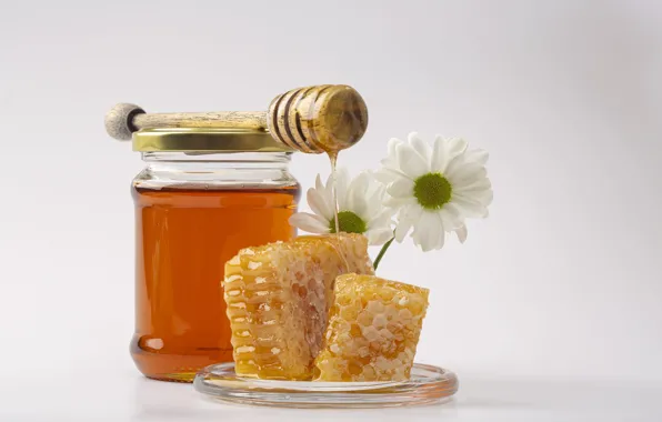 Glass, flowers, cell, spoon, Bank, white background, honey