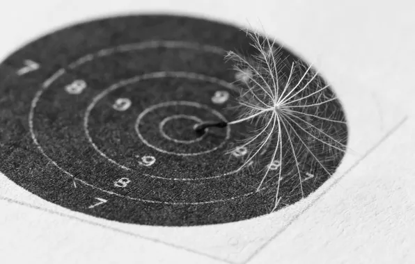 Background, dandelion, fluff, target