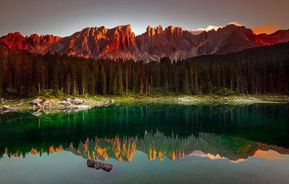 Picture forest, mountains, lake, morning