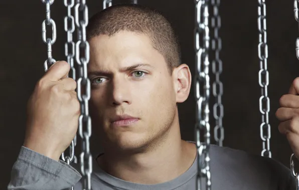 The series, chain, detective, Thriller, Wentworth Miller, Prison Break, crime, Wentworth Miller