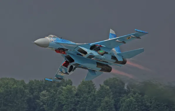 Picture forest, the rise, combat aircraft, Su-27 Flanker