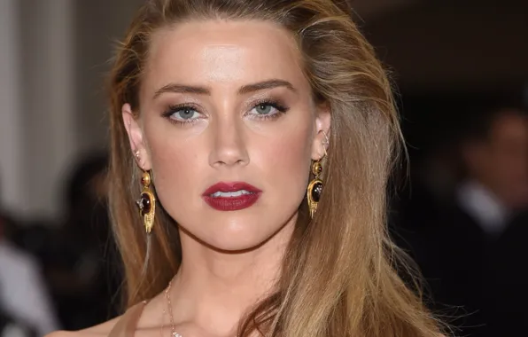 Picture hair, portrait, pose, hairstyle, look, Amber Heard, makeup, Amber Heard