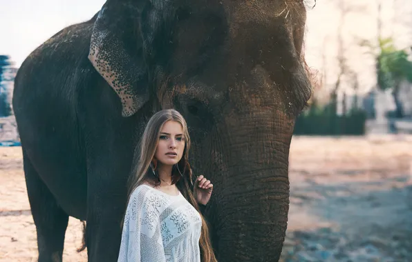 Look, nature, pose, model, elephant, portrait, feathers, makeup