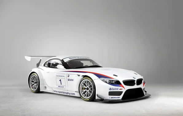 Picture BMW, GT3
