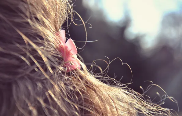 Macro, hair, barrette