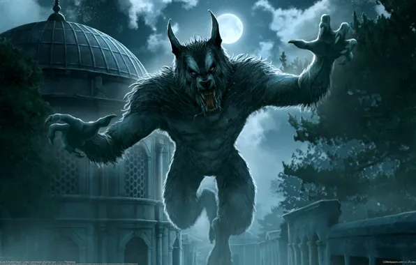 Night, the city, fantasy, Kerem Couplets, the full moon, werewolf
