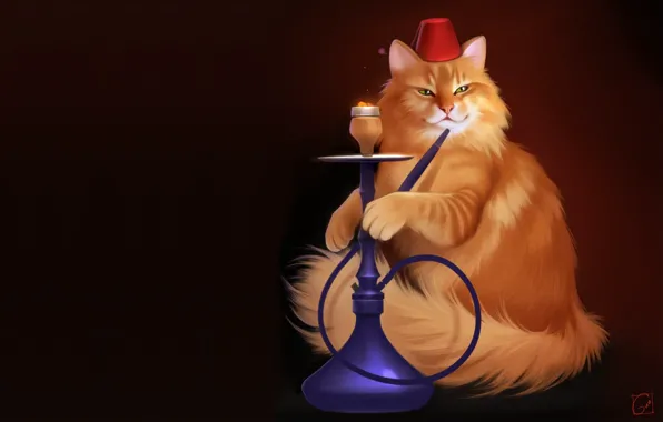 Picture cat, hookah, pussy, art, FEZ, Alexander Khitrov, GaudiBuendia