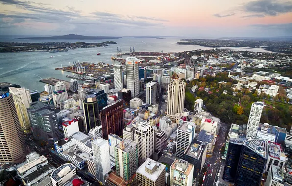 Home, panorama, Bay, new Zealand, New Zealand, Auckland, street, quarter