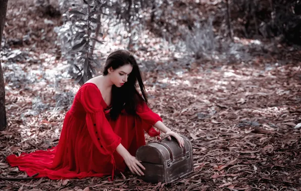 Picture girl, nature, box