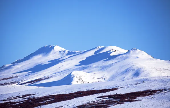 The sky, Mountains, Grass, Trees, Snow