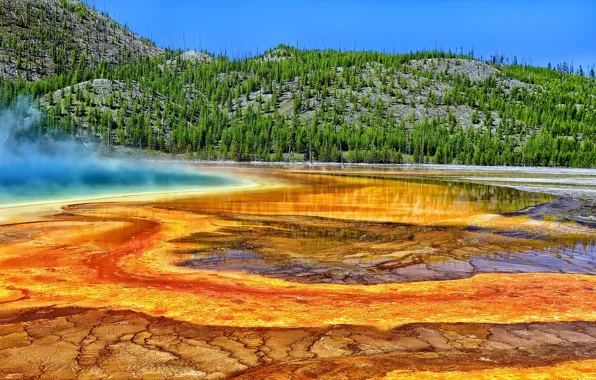 Picture trees, Wyoming, Wyoming, Yellowstone National Park, Grand prismatic spring, Yellowstone, Grand Prismatic Spring, hot spring