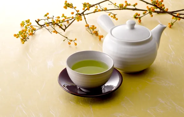 Picture branches, green, tea, Cup, saucer, green tea