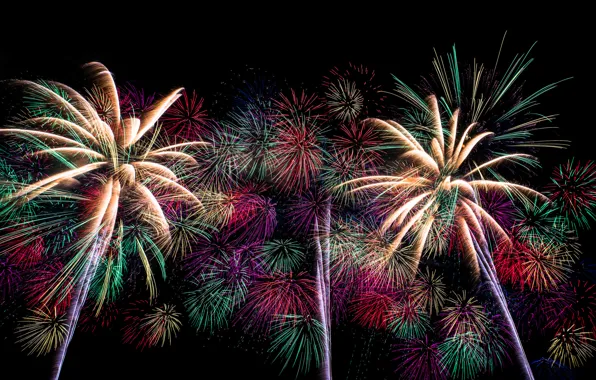 The sky, night, lights, salute, fireworks