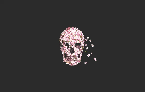 Flowers, skull, sake, flower