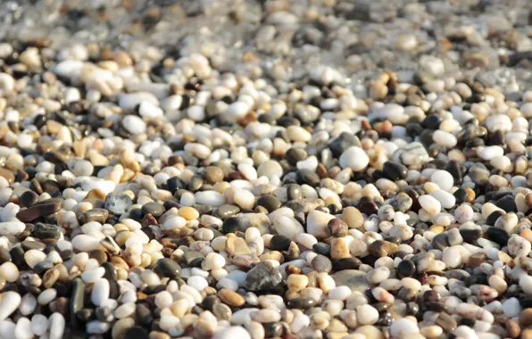 Beach, pebbles, stones, background, shore, texture, white, wet