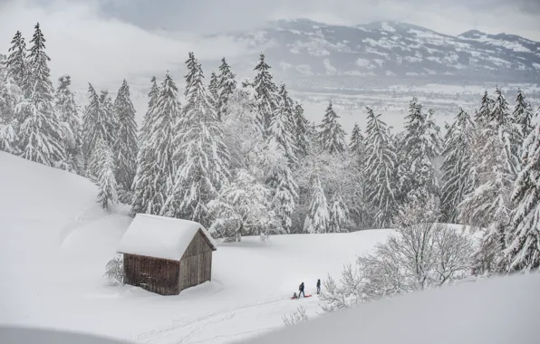 Winter, frost, road, roof, forest, snow, mountains, fog