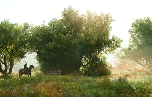 Picture summer, nature, rider, Assassin's Creed Origins