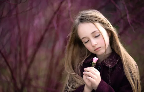 Rose, girl, flower