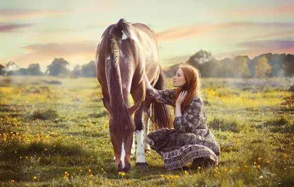 Picture field, girl, horse