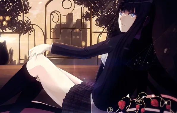 Picture cat, girl, sunset, the city, berries, stockings