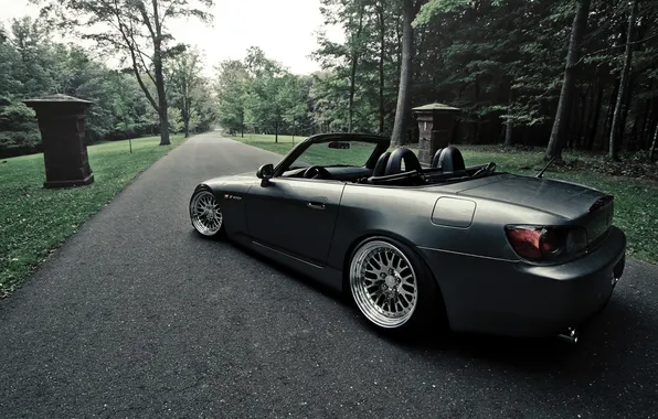 Picture road, forest, Roadster, honda, Honda, s2000