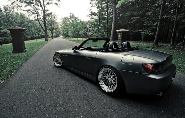 Road, forest, Roadster, honda, Honda, s2000