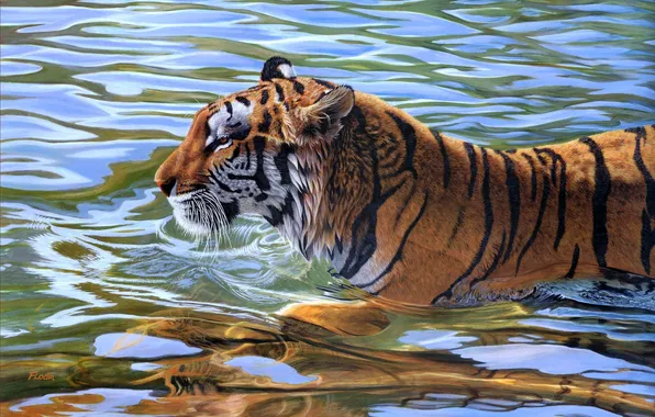 Picture water, tiger, art, Afternoon Swim, Mickey Flodin