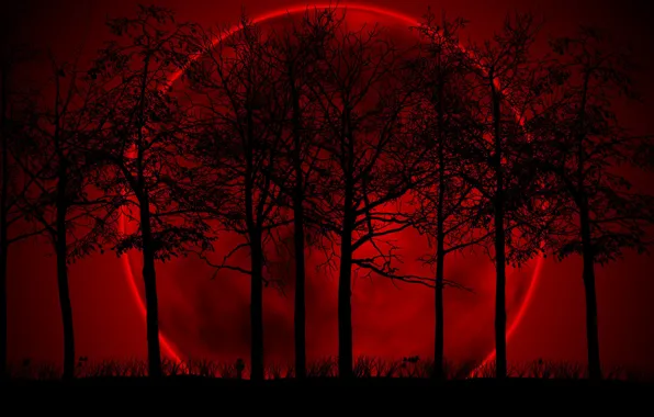 Red, background, the moon, the darkness, black, Trees, gloom