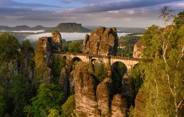 Mountains, bridge, nature, Germany, Saxony