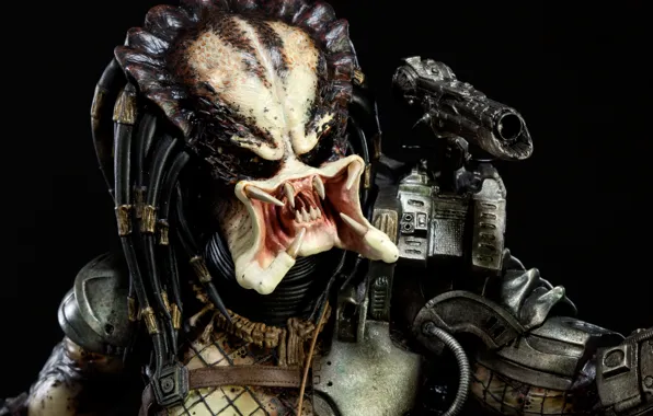 Predator, creature, sideshow collectibles predator