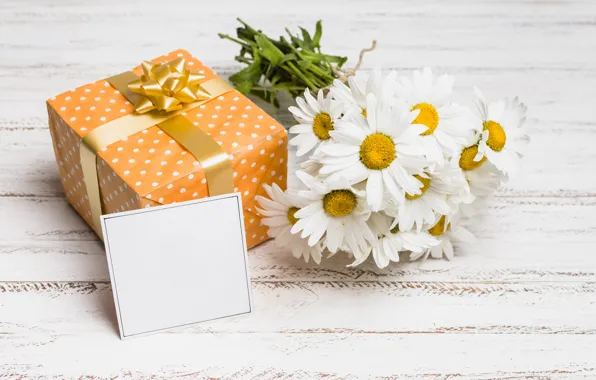 Flowers, gift, chamomile, wood, flowers, romantic, camomile, gift box