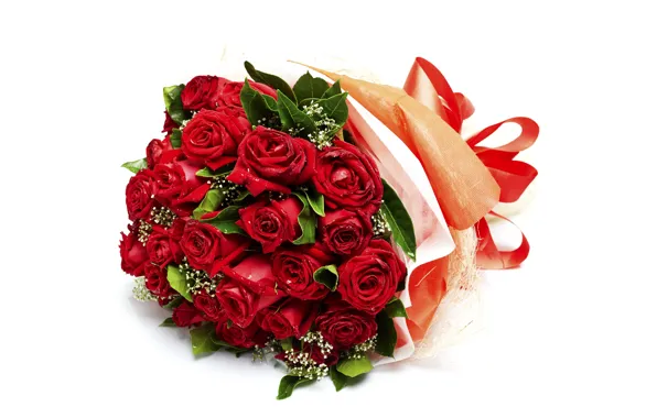 Picture flowers, roses, bouquet, red, red, buds, flowers, romantic