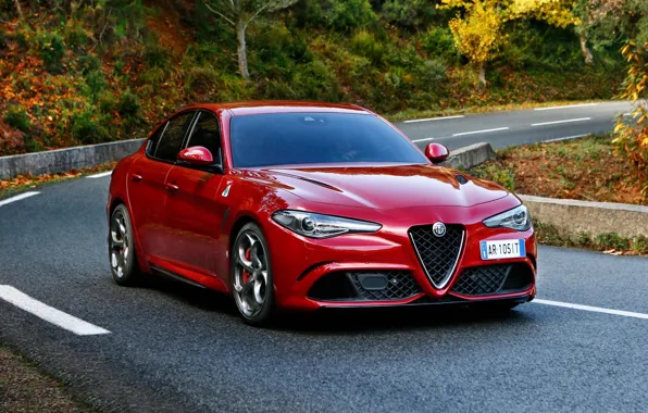 Picture Alfa Romeo, Alfa Romeo, The front, Giulia