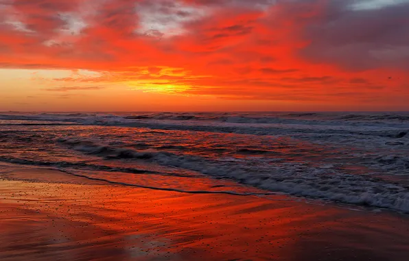 Sea, sunset, red