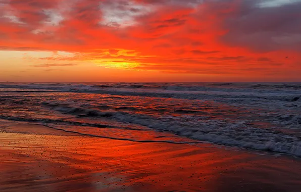 Picture sea, sunset, red
