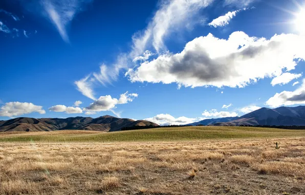 Picture field, the sky, landscape, nature