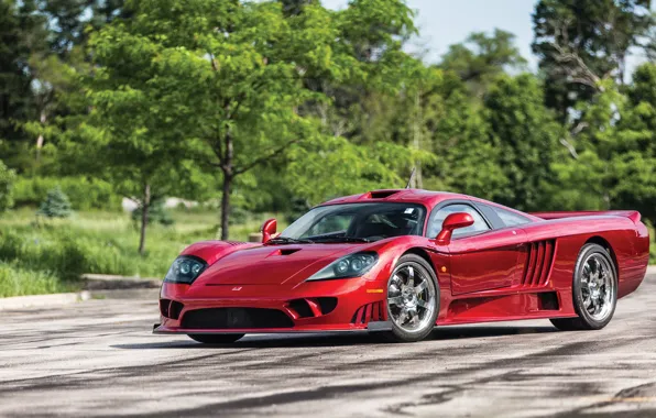 Greens, Road, Saleen, Lights, Drives, Supercar, 2005, Twin Turbo