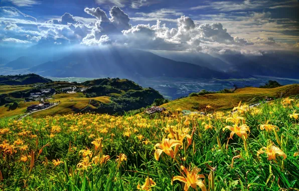 Light, flowers, mountains, landscape., odluka