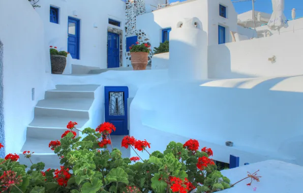 Flowers, house, Santorini, Greece, the door, stage