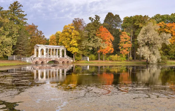 Autumn, pond, Park, Russia, grove, Russia, Autumn, Pond