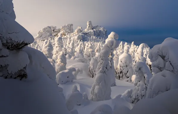 Winter, snow, trees, landscape, nature, stones, ate, Sergey Mezhin