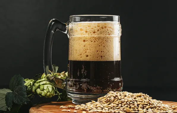 Foam, table, background, beer, mug, grain, hops