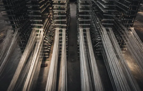 Plant, thread, factory