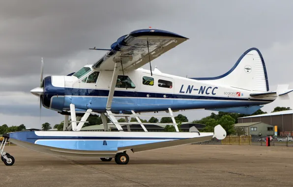 The plane, multipurpose, single-engine, easy, takeoff and landing, DHC-2 Beaver, short