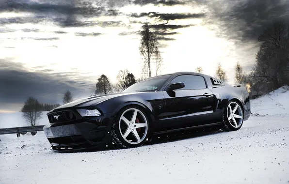 Winter, the sky, snow, trees, clouds, black, mustang, Mustang