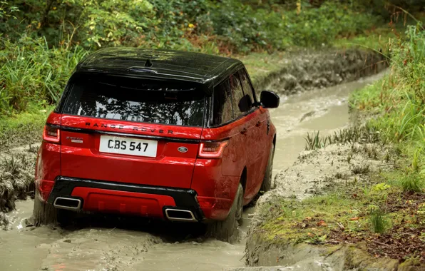 Picture forest, plants, puddle, dirt, SUV, track, Land Rover, black and red