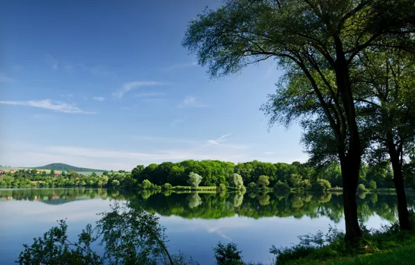 Summer, trees, lake, reflection, river, pond