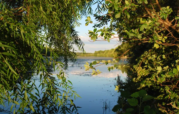Water, trees, landscape, lake, river